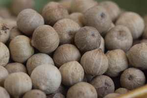 White peppercorns